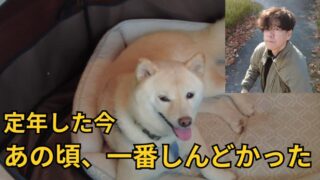 定年した今、55歳の不安を振り返る60歳男性